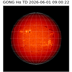 gong - 2026-06-01T09:00:22