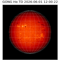 gong - 2026-06-01T12:00:22