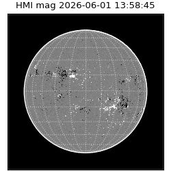 shmi - 2026-06-01T13:58:45