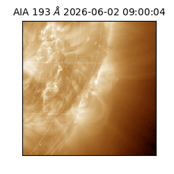 saia - 2026-06-02T09:00:04.842000