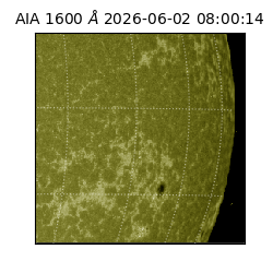 saia - 2026-06-02T08:00:14.123000