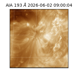 saia - 2026-06-02T09:00:04.842000