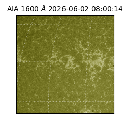saia - 2026-06-02T08:00:14.123000