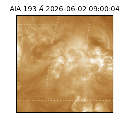 saia - 2026-06-02T09:00:04.842000