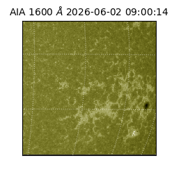 saia - 2026-06-02T09:00:14.123000