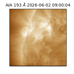 saia - 2026-06-02T09:00:04.842000