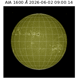 saia - 2026-06-02T09:00:14.123000