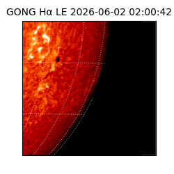 gong - 2026-06-02T02:00:42