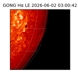 gong - 2026-06-02T03:00:42