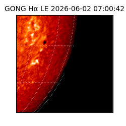gong - 2026-06-02T07:00:42