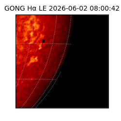gong - 2026-06-02T08:00:42