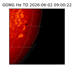 gong - 2026-06-02T09:00:22