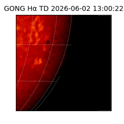 gong - 2026-06-02T13:00:22