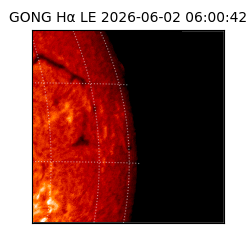 gong - 2026-06-02T06:00:42