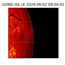 gong - 2026-06-02T08:00:42