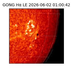 gong - 2026-06-02T01:00:42