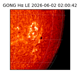 gong - 2026-06-02T02:00:42