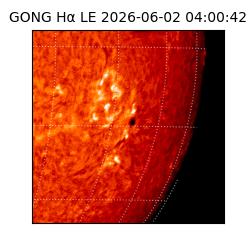 gong - 2026-06-02T04:00:42