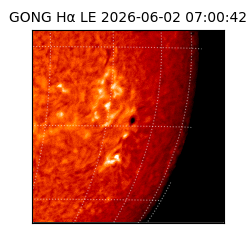 gong - 2026-06-02T07:00:42
