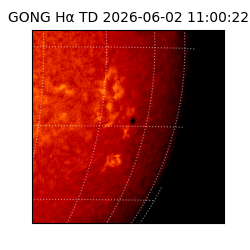 gong - 2026-06-02T11:00:22