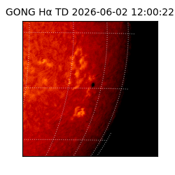 gong - 2026-06-02T12:00:22