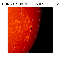 gong - 2026-06-02T21:00:02
