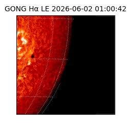 gong - 2026-06-02T01:00:42