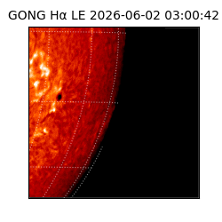 gong - 2026-06-02T03:00:42