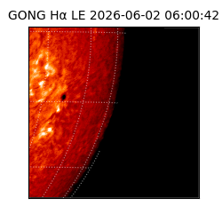 gong - 2026-06-02T06:00:42