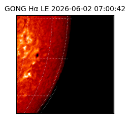 gong - 2026-06-02T07:00:42