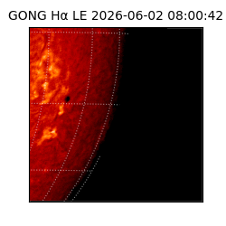 gong - 2026-06-02T08:00:42