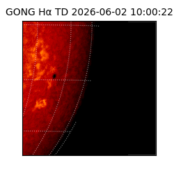 gong - 2026-06-02T10:00:22