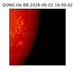 gong - 2026-06-02T16:00:02