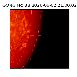 gong - 2026-06-02T21:00:02