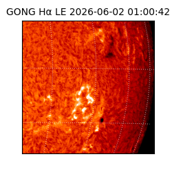 gong - 2026-06-02T01:00:42