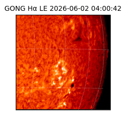 gong - 2026-06-02T04:00:42