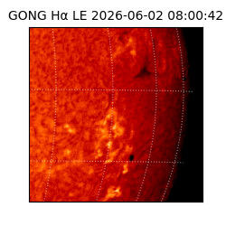 gong - 2026-06-02T08:00:42