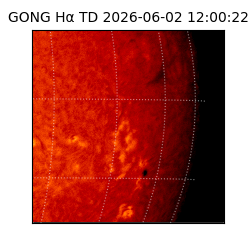 gong - 2026-06-02T12:00:22