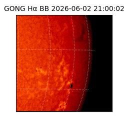 gong - 2026-06-02T21:00:02