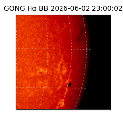gong - 2026-06-02T23:00:02