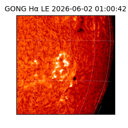gong - 2026-06-02T01:00:42