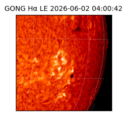 gong - 2026-06-02T04:00:42