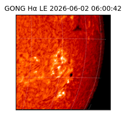 gong - 2026-06-02T06:00:42