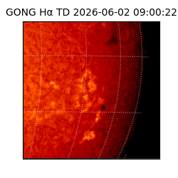 gong - 2026-06-02T09:00:22
