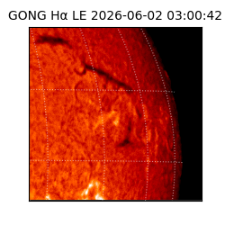 gong - 2026-06-02T03:00:42