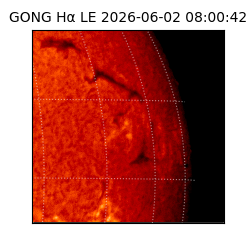 gong - 2026-06-02T08:00:42