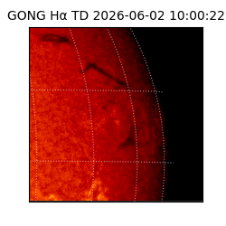 gong - 2026-06-02T10:00:22