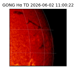 gong - 2026-06-02T11:00:22