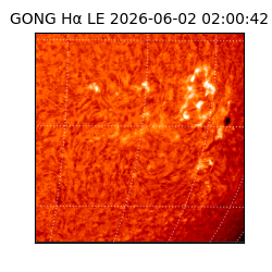 gong - 2026-06-02T02:00:42