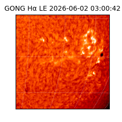 gong - 2026-06-02T03:00:42